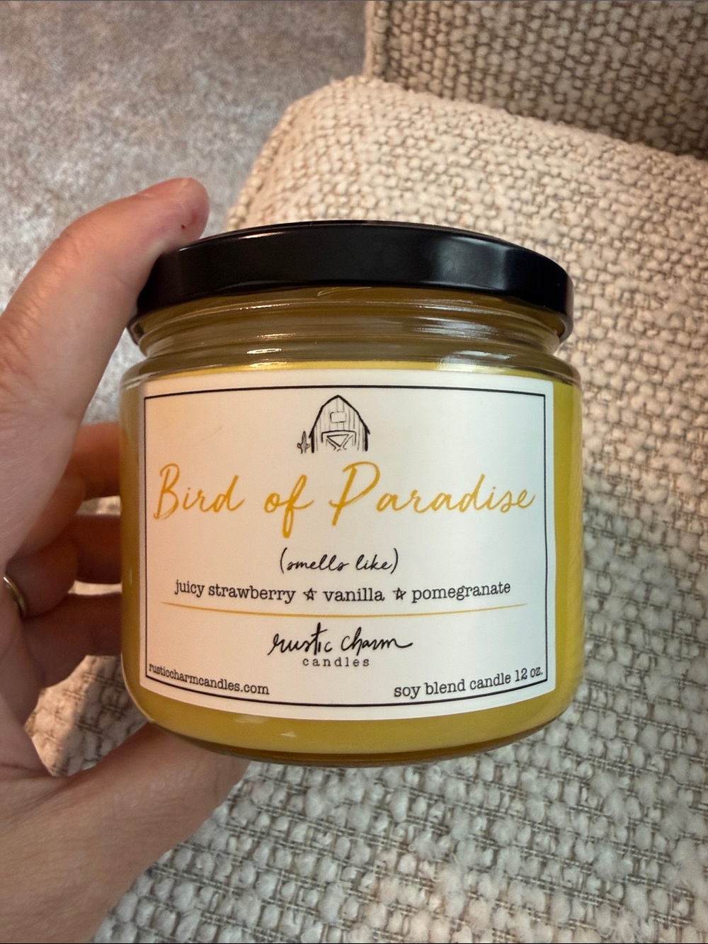 Rustic charm candles-- Bird of Paradise Soy Candle - 12 oz.